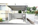  メルシー　サクラ