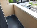  メルシー　サクラ