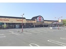 ベルク行田長野店(スーパー)まで607m サンフラワーハイツ
