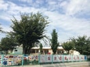 長野保育園(幼稚園/保育園)まで342m サンフラワーハイツ