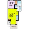 ラフィナート 1LDKの間取り
