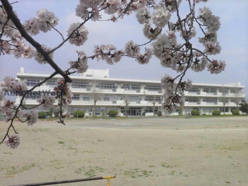 羽生市立新郷第一小学校(小学校)まで591m 上新郷戸建て