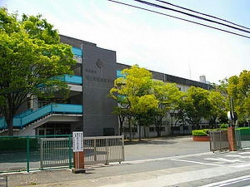 埼玉県立羽生実業高校(高等学校/高等専門学校)まで2857m 上新郷戸建て