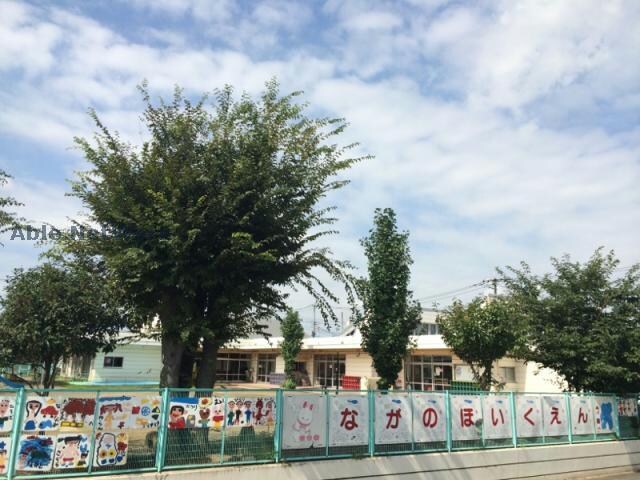 長野保育園(幼稚園/保育園)まで829m プラシードＭ