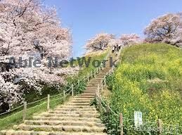 さきたま古墳公園(公園)まで1326m ソレイユ