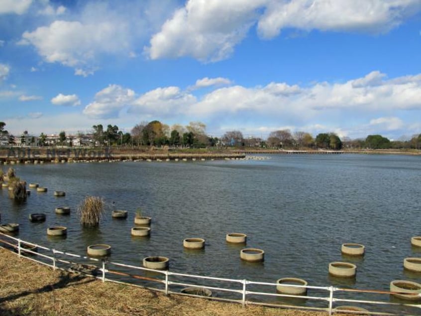 弦代公園(公園)まで701m パルムロジェ