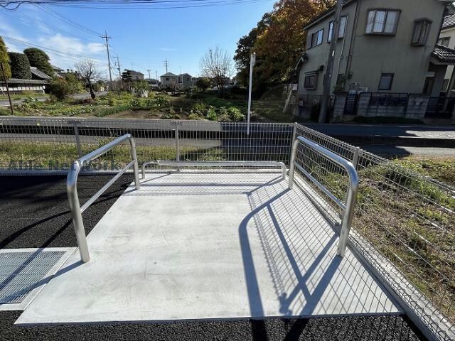  サニー・フィールド