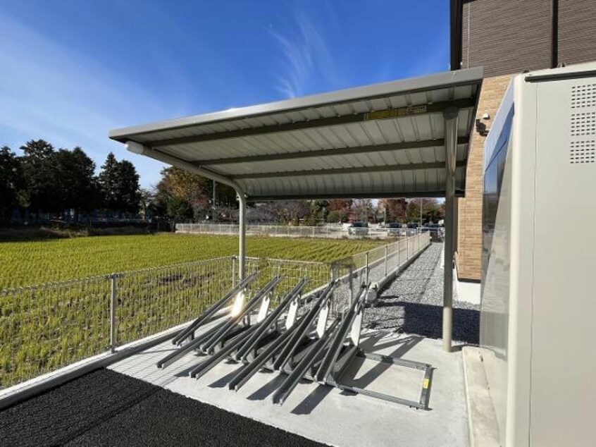  サニー・フィールド