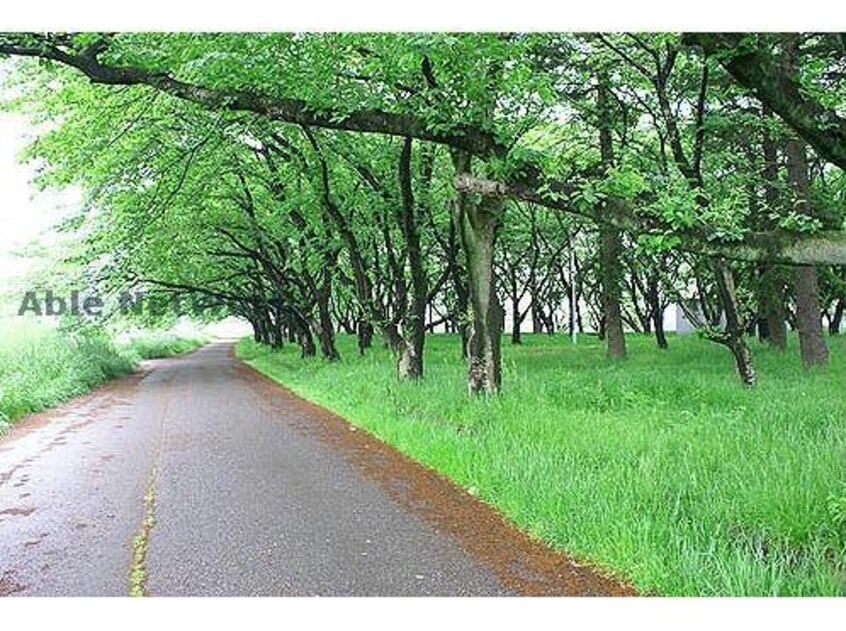 見沼公園(公園)まで1741m Eternally