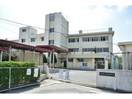 加須市立礼羽小学校(小学校)まで364m K&K