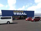 スーパーセンタートライアル板倉店(ディスカウントショップ)まで3801m ツァィト板倉