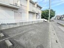  シオン花咲