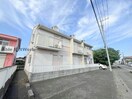  シオン花咲