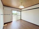  シオン花咲