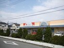 ドラッグストアセキ花崎店(ドラッグストア)まで1187m シオン花咲