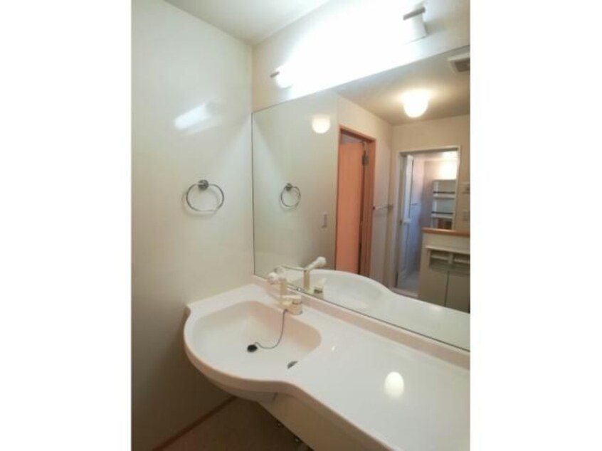 洗面所・脱衣所 東北本線<宇都宮線>/宇都宮駅 徒歩99分 1階 築16年