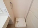 洗面所・脱衣所 東北本線<宇都宮線>/宇都宮駅 徒歩33分 1階 築17年