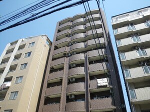 プラシードY’s