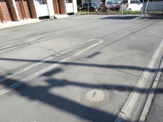  シェーンフェルト