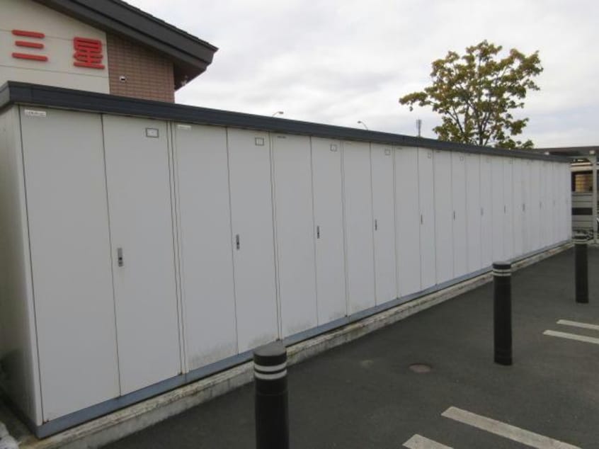  エーデルワイス