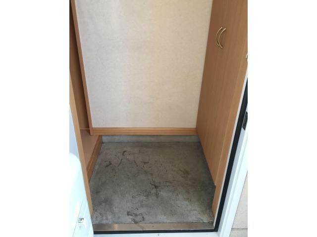  フルーツ　パト