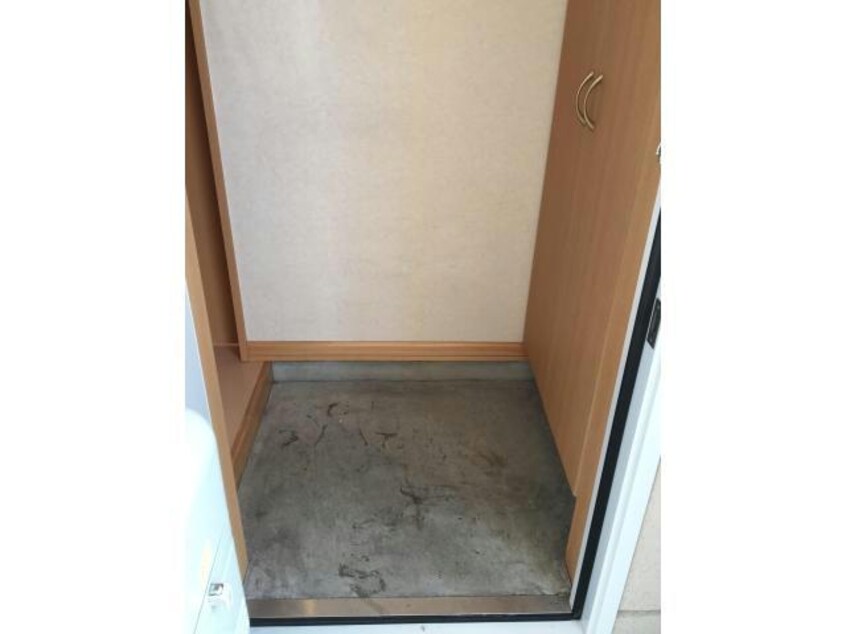  フルーツ　パト