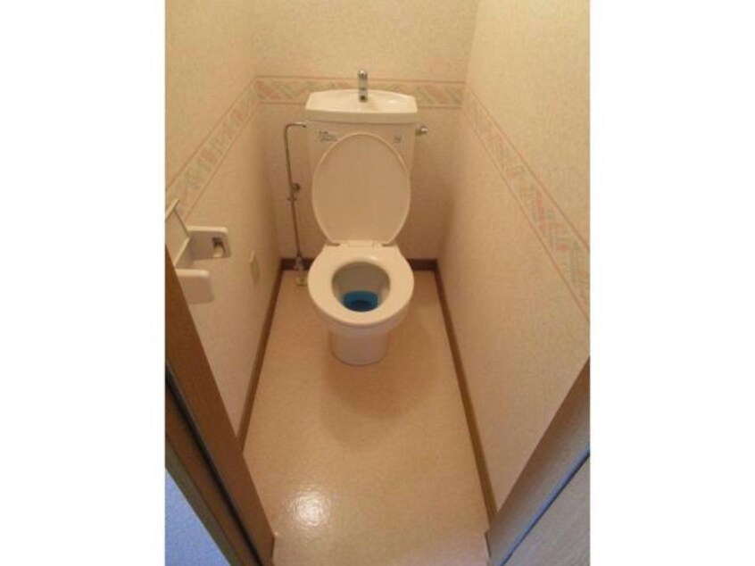  ピュアハピネス