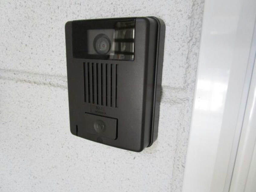  ピュアハピネス