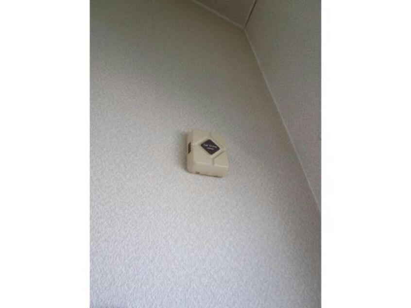  コーポカーレント