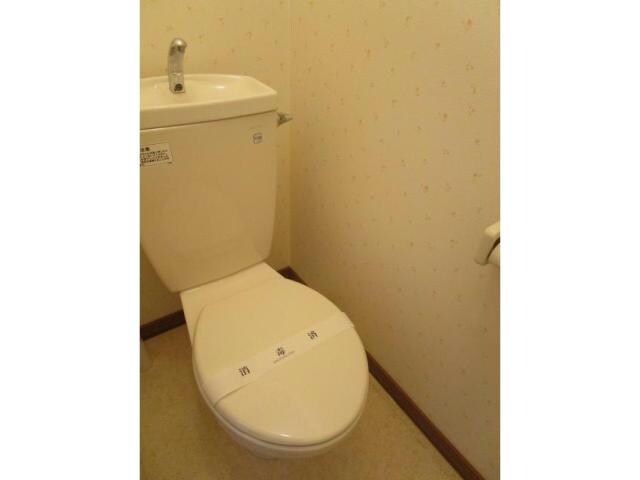  カーサムート