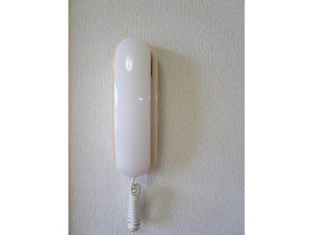  カーサムート