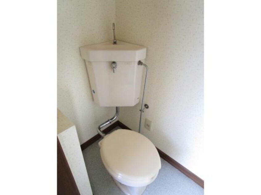  エクセレント秋桜