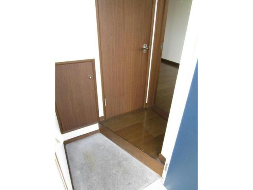  エクセレント秋桜