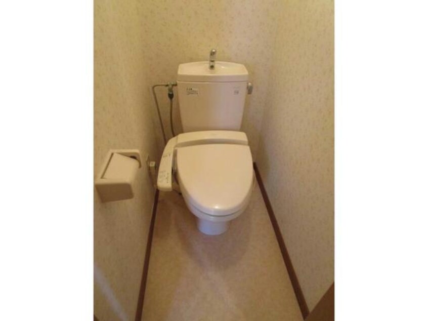  チェリーブロッサム日の出