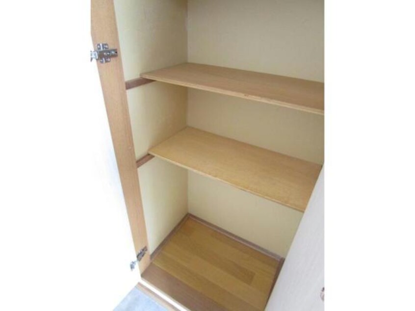  チェリーブロッサム日の出