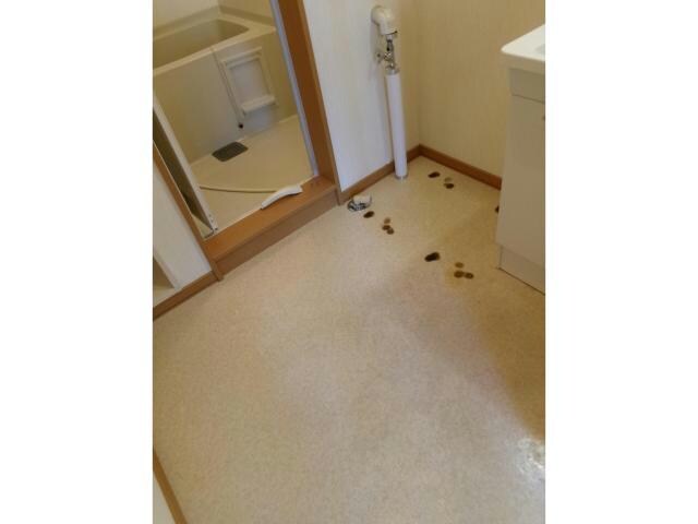  ルミエール四季