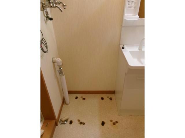  ルミエール四季