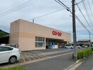 コープ東久方店(スーパー)まで378m ピアレス