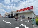 DiREX籠原南店(ディスカウントショップ)まで1042m ボヌール（熊谷市拾六間）