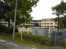 津市立栗葉小学校(小学校)まで1334m forest