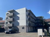 Graneige Yamahana