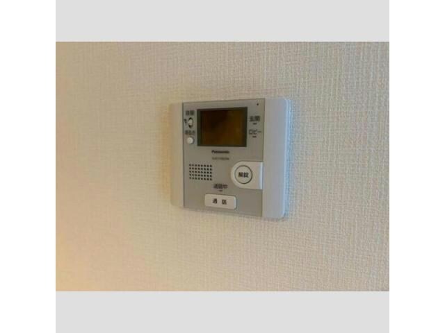  ＲＥＥＦ　ＬＵＡＮＡ