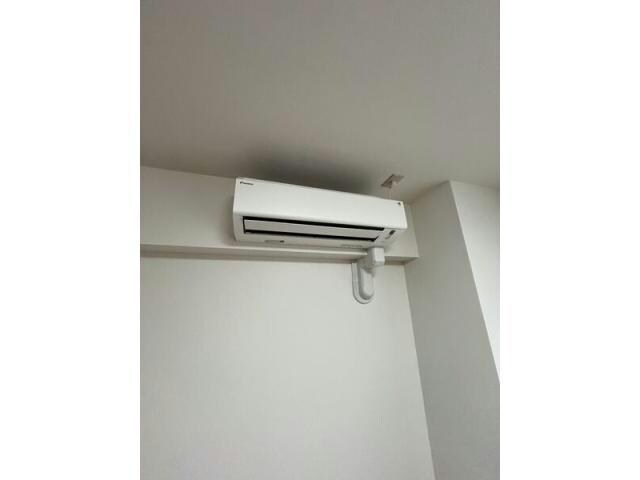  セザール伏見