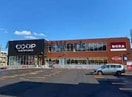 コープさっぽろやまはな店(スーパー)まで682m コンソラチュール山鼻