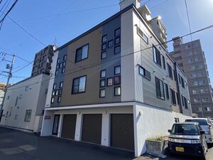 ＣＯＣＯ　ＭＯＰⅡ