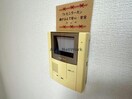 ロックイン菊水