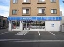 ローソン札幌南11条店(コンビニ)まで716m エステート札幌