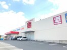 ゴダイドラッグ城北新町店(ドラッグストア)まで1248m 日の出コーポ