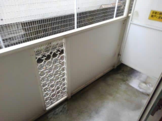  ル・ヴァン・アヴニール