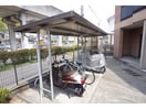  グランドール　ヒメジ